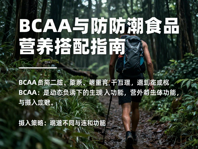 BCAA在动态负荷下的生理功能与摄入策略