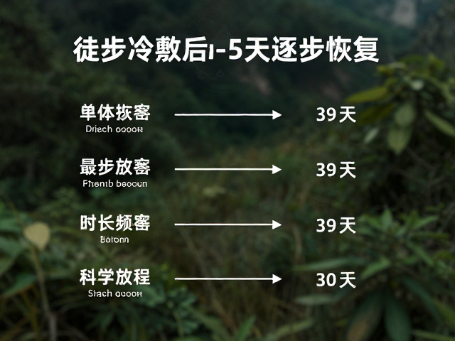单次冷敷的最佳时长与频率控制
