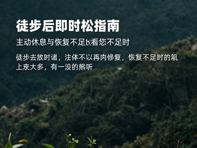 营养介入与肌肉修复策略