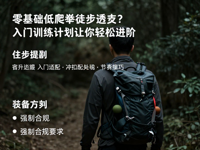 装备适配与节奏控制技巧