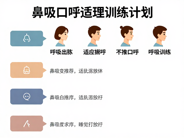 分阶段适应训练法