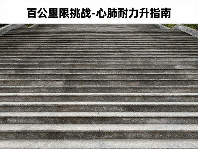 阶梯式有氧基础构建