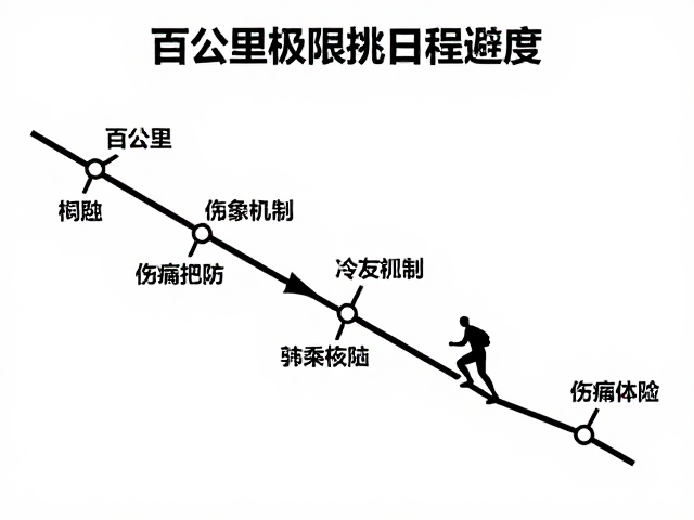 恢复机制与伤病预防体系