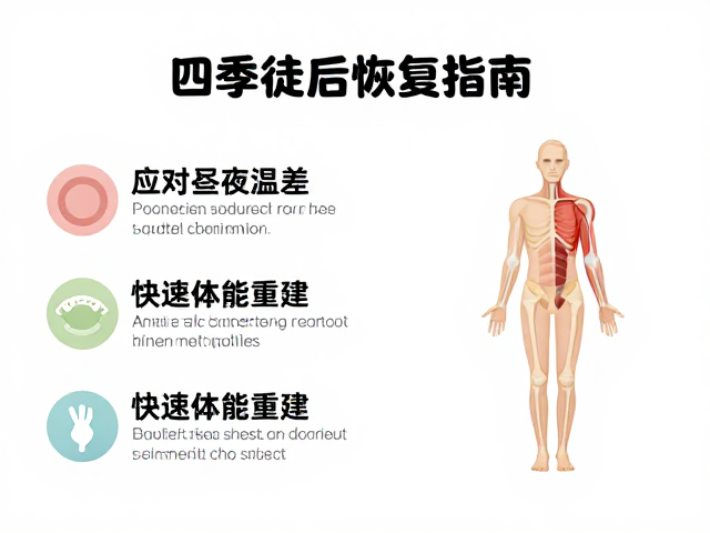肌肉筋膜与关节的修复逻辑