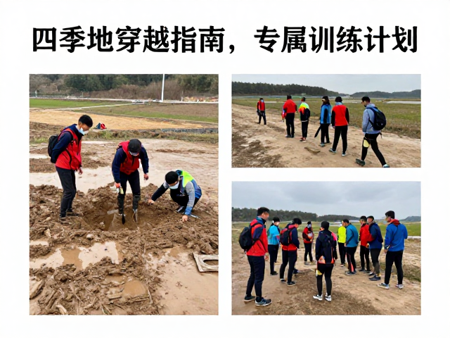 团队协作与应急响应机制