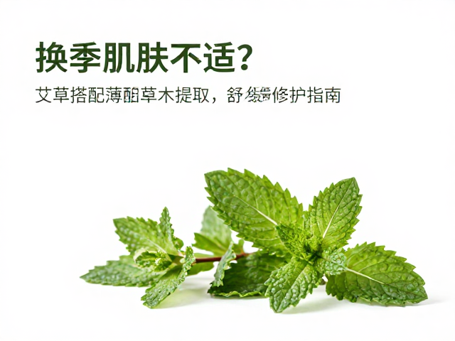 换季肌肤不适？艾草搭配薄荷草木提取，舒缓修护指南
