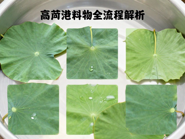 薄荷花叶超声波辅助萃取技术,高活性原料提取全流程解析