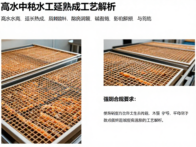 高水量配方延长熟成,静置风干工序中碱度逐步温和的工艺解析