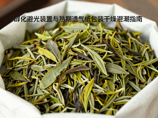 茶叶醇化避光安置与熟期透气纸包装干燥避潮指南