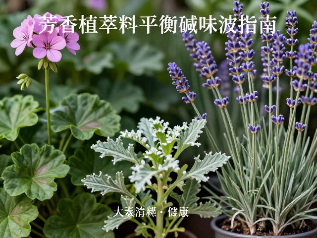 天竺葵,薰衣草,广藿香,芳香植萃油料平衡碱味油脂味指南