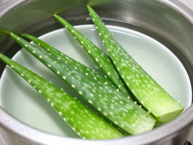 芦荟果蔬原汁配比揭秘,低温搅拌锁鲜,健康饮品这样喝