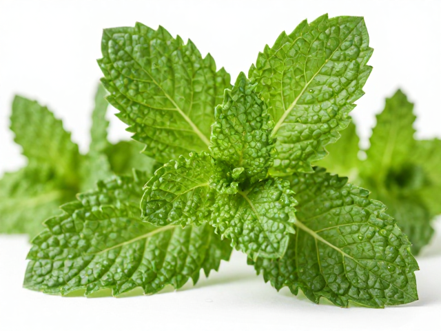 草木提取原料护肤会紧绷吗?薄荷清凉香舒缓保湿实测