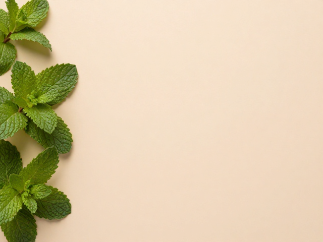 草木提取原料护肤会紧绷吗?薄荷清凉香舒缓保湿实测