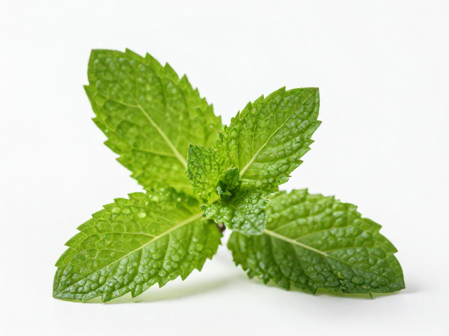 草木提取原料护肤会紧绷吗?薄荷清凉香舒缓保湿实测