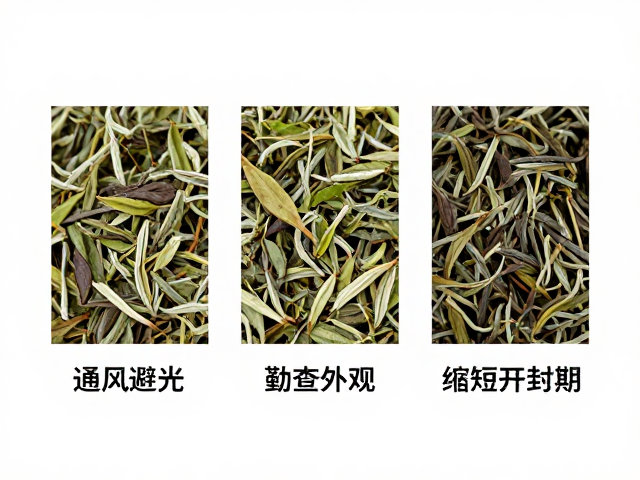 伏天茶叶怎么存?通风避光,勤查外观,高温天缩短开封期