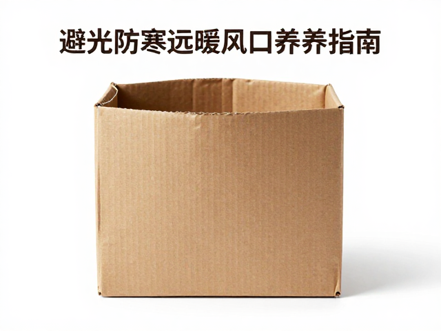 花盆放纸盒避光防寒,远离暖风口养护指南