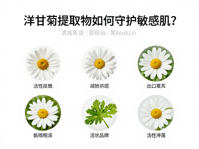 换季易敏救星,洋甘菊提取物如何守护敏感肌?