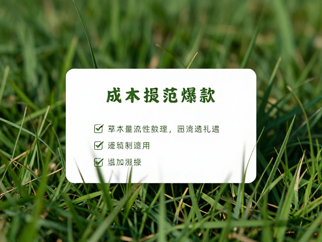 草木提取伴手礼,成分标签规范指南,打造高流量爆款