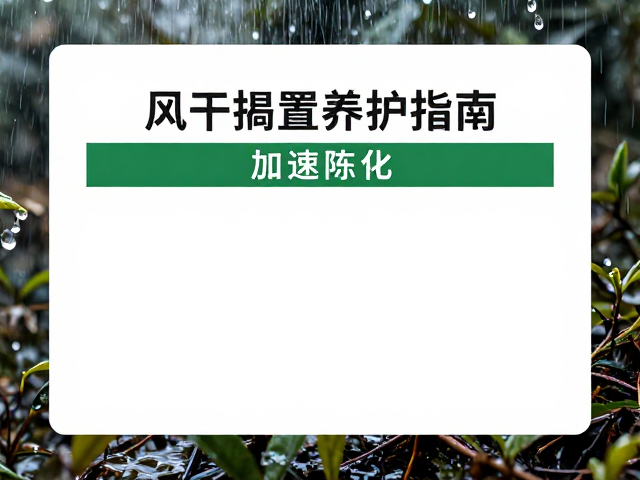 风干搁置养护指南,潮湿天气如何用除湿设备加速陈化