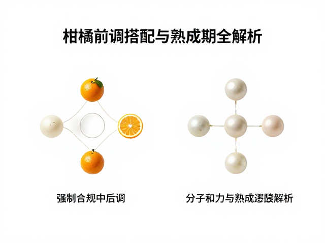 香薰精油底料怎么选?柑橘前调搭配与熟成期全解析