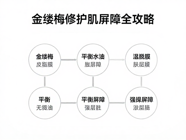 金缕梅修护复合肌皮脂膜,平衡水油,强韧屏障全攻略
