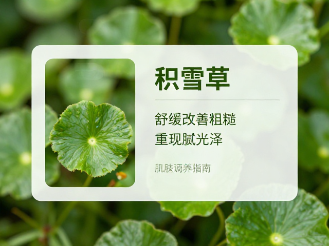 春秋肌肤调养指南,积雪草舒缓改善粗糙,重现细腻光泽