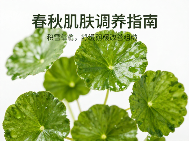 春秋肌肤调养指南,积雪草舒缓改善粗糙,重现细腻光泽