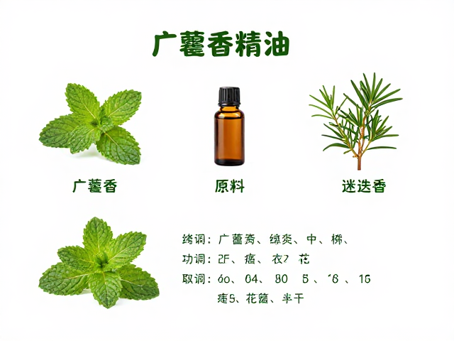 广藿香精油搭配薄荷迷迭香茶树,花香精油原料调配公式与功效解析