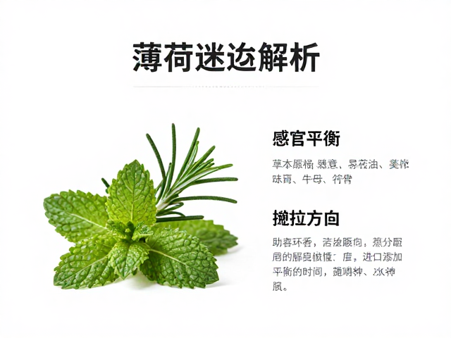 薄荷迷迭香茶树精油,草本净化感香氛原料,清新提神助眠配方解析