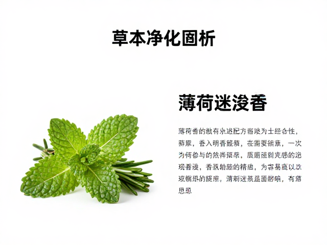 薄荷迷迭香茶树精油,草本净化感香氛原料,清新提神助眠配方解析