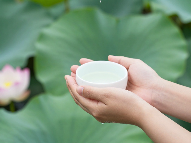 莲花清净意，仪式前净手的日常器物寓意与身心净化之道