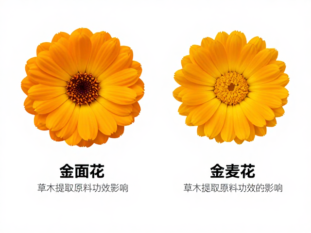 金盏花熟成时间长短对草木提取原料功效的影响