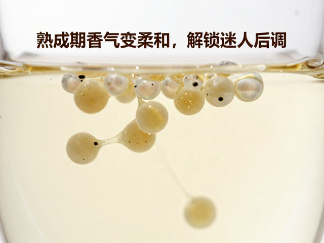 单方精油调配技巧,熟成期香气变柔和,解锁迷人后调