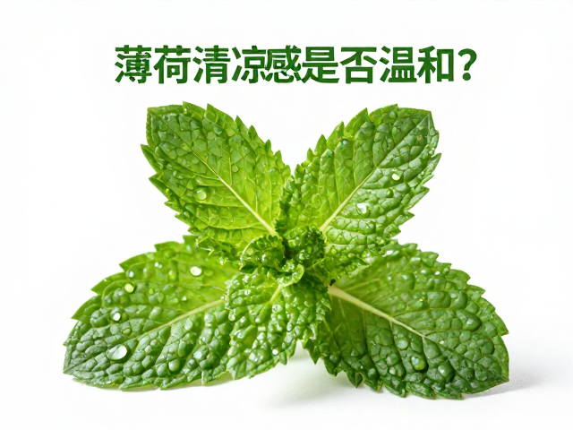瓜果萃取原料敏感肌需谨慎,薄荷清凉感是否温和?