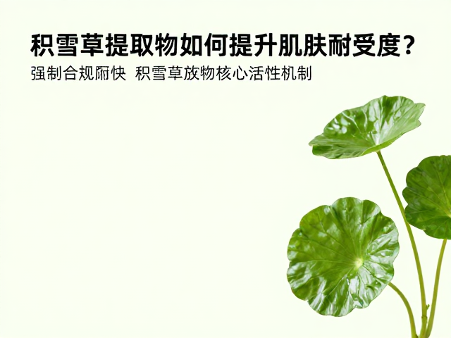 婴幼儿敏感肌护肤,积雪草提取物如何提升肌肤耐受度?