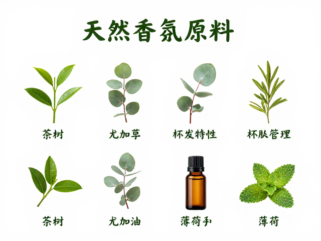 茶树,尤加利,薄荷单方精油,天然香氛原料功效与搭配指南