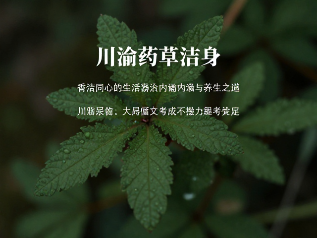 川渝药草洁身,香洁同心的生活器物内涵与养生之道