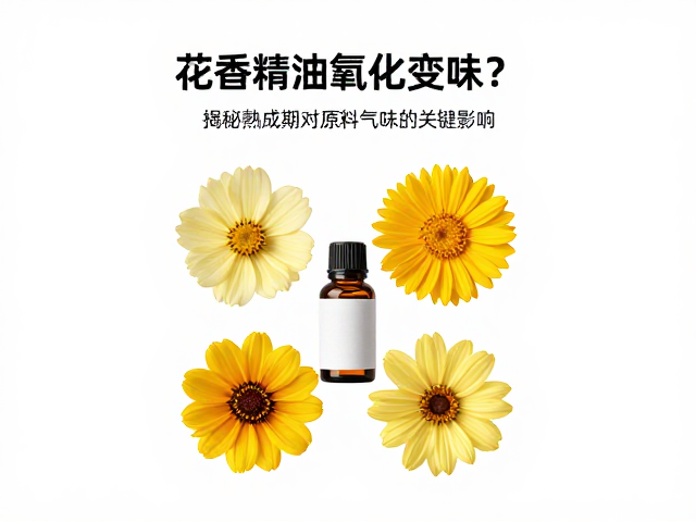 花香精油氧化变味?揭秘熟成期对原料气味的关键影响