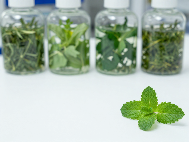 艾草搭配薄荷原料检测,草木提取中微生物指标详解