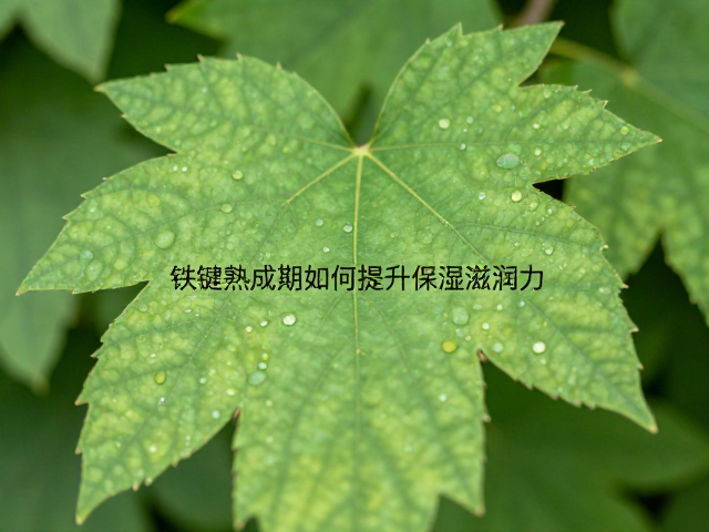 花叶萃取原料揭秘,关键熟成期如何提升保湿滋润力