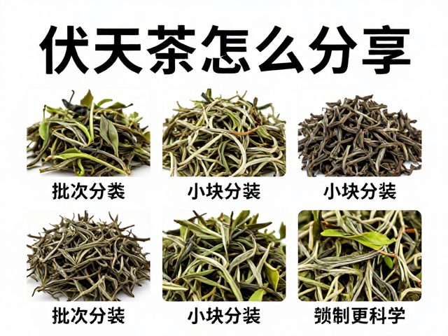 伏天茶叶怎么存?按批次分类,小块分装,锁鲜防霉更科学