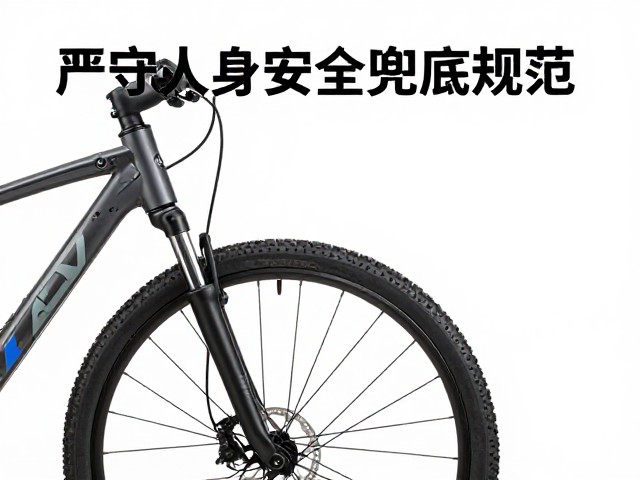 城市通勤自行车前叉疲劳试验,严守人身安全兜底规范