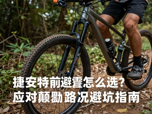 捷安特前叉避震怎么选？应对颠簸路况的避坑指南
