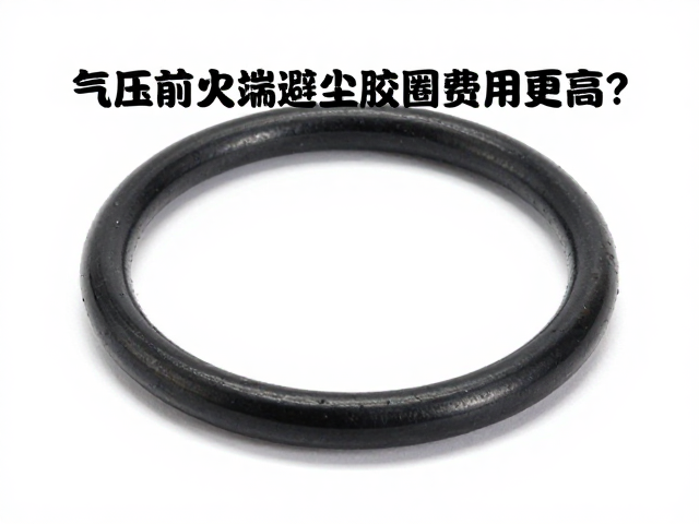气压前叉防尘胶圈养护指南，为何高端避震维修费用更高？