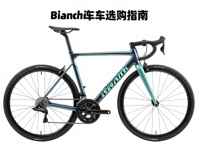 Bianchi单速车选购指南，详解钢管等级与性能差异