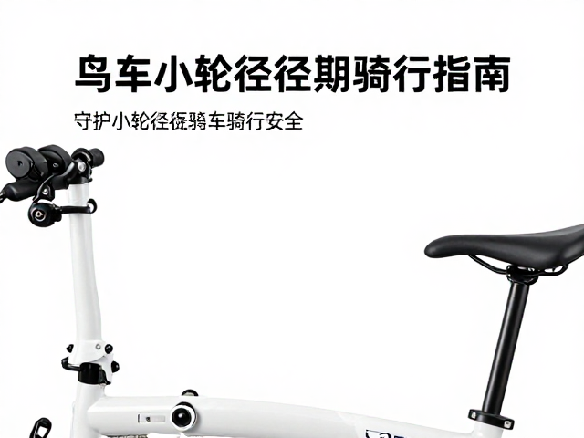 Birdy鸟车折叠扣定期检查指南，守护小轮径折叠车骑行安全