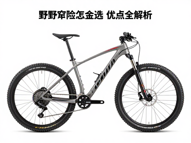 野外探险山地车怎么选?铝合金车架优缺点全解析