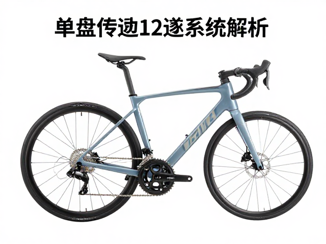 单盘传动12速系统解析，优势、适用场景与选购指南