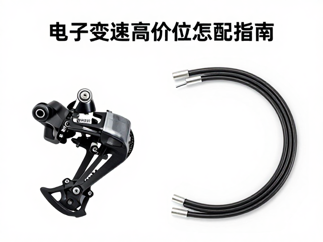 电子变速高价位怎么选?前后拨器与变速线管搭配指南