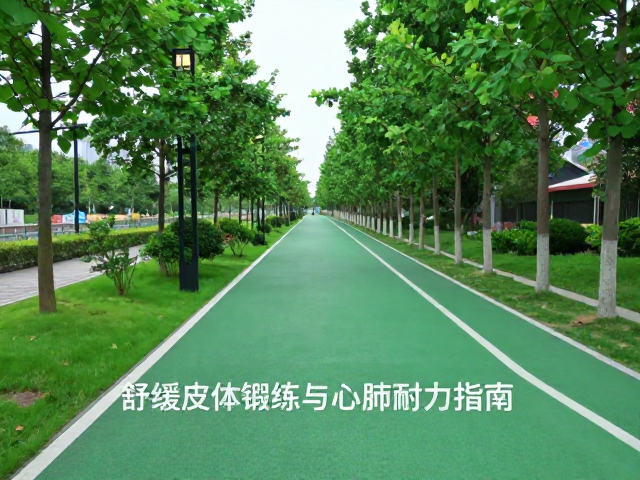 绿道慢行路线推荐，舒缓肢体锻炼与心肺耐力提升指南